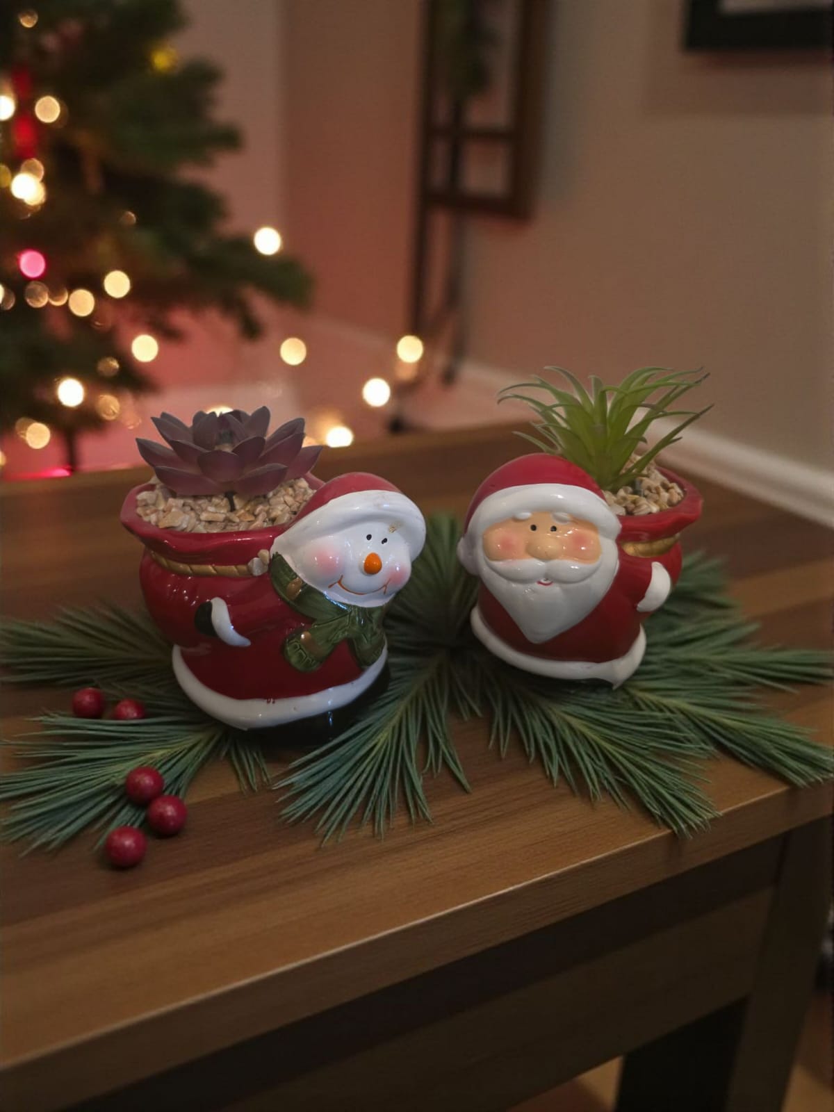Set of Santa-themed planter pots