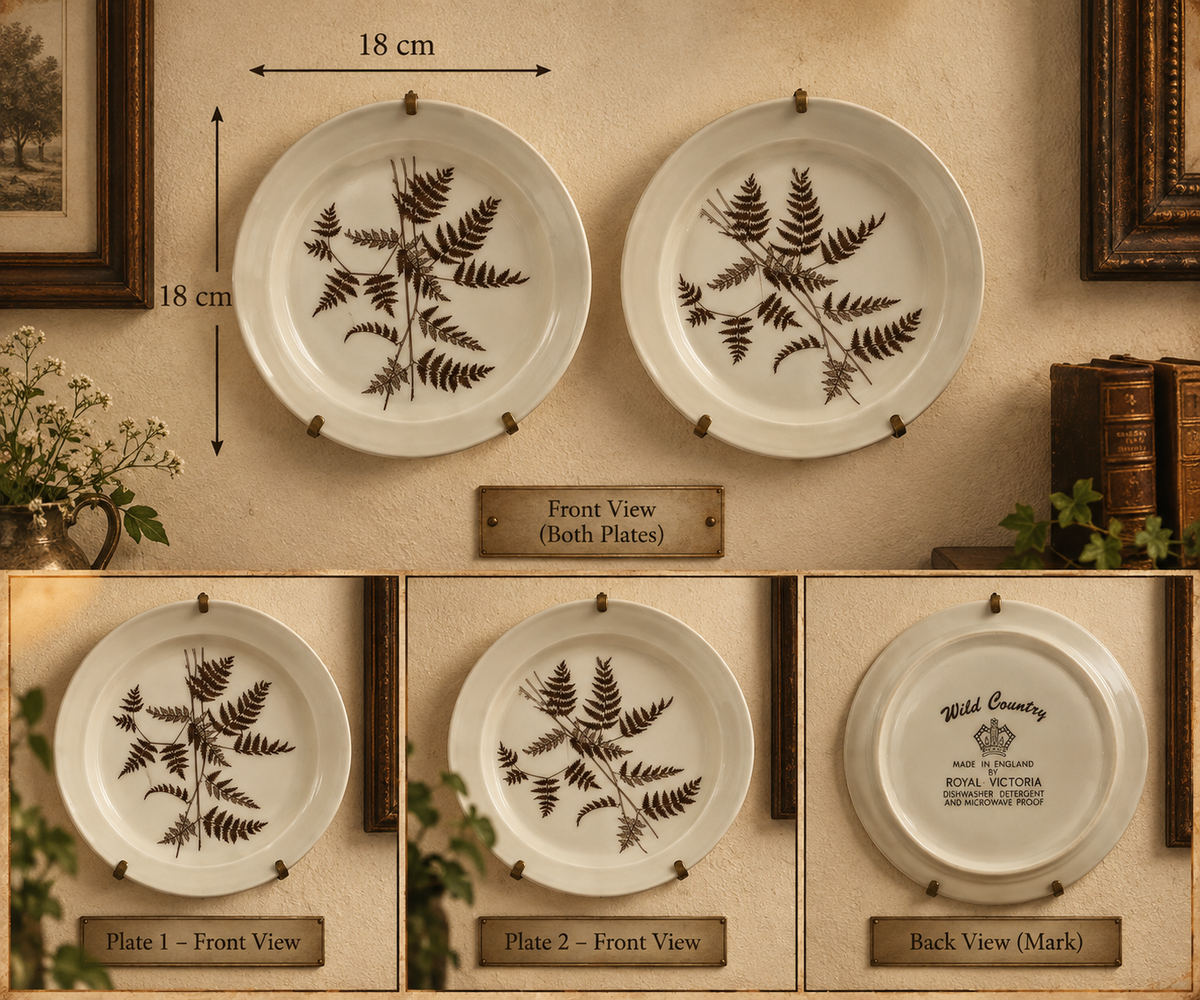 1970s Royal Victoria "Wild Country" English Ironstone Fern Plate – Rustic Cottagecore Decor plate