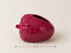 Strawberry Napkin Holder