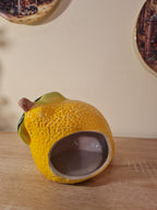Lemon Grove Tea Spoon Rest