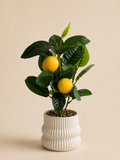 Mediterranean Lemon Tree Décor