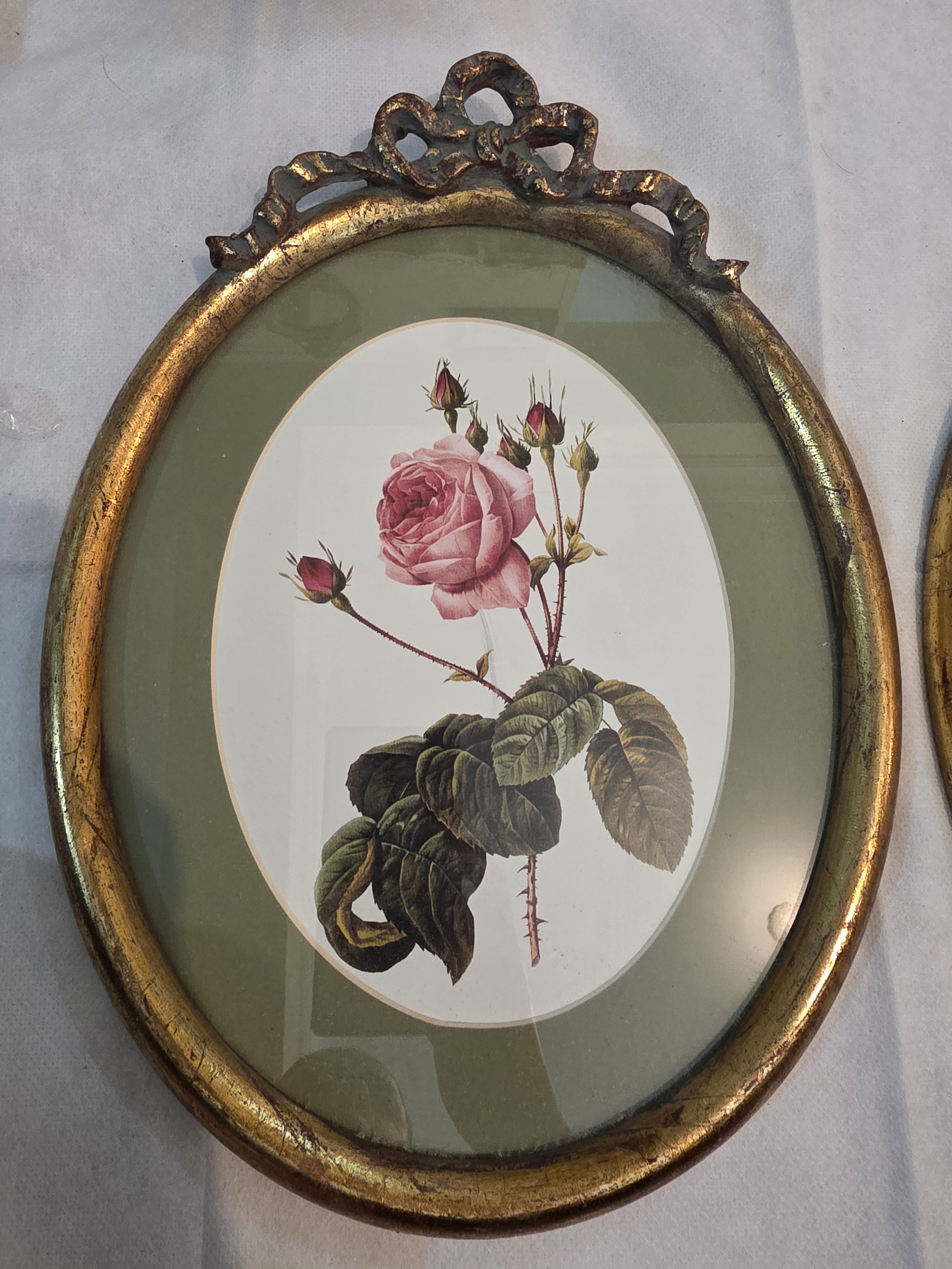 Pair of Vintage Botanical Rose Wall Prints