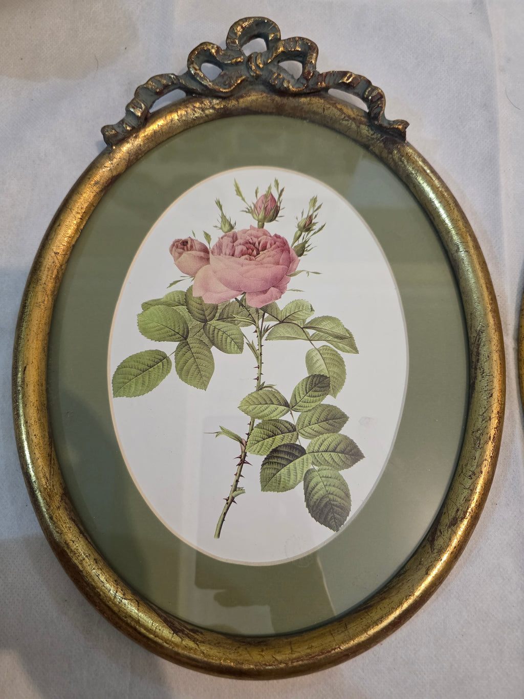 Vintage Botanical Rose Wall Art Pair in Olive Green & Antique Gold Frames