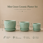 Mint Green Small Ceramic Planter set