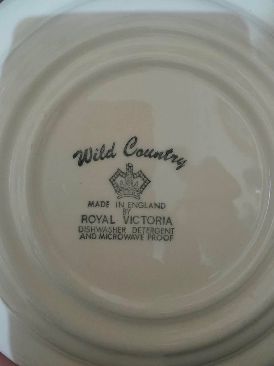 1970s Royal Victoria "Wild Country" English Ironstone Fern Plate – Rustic Cottagecore Decor plate