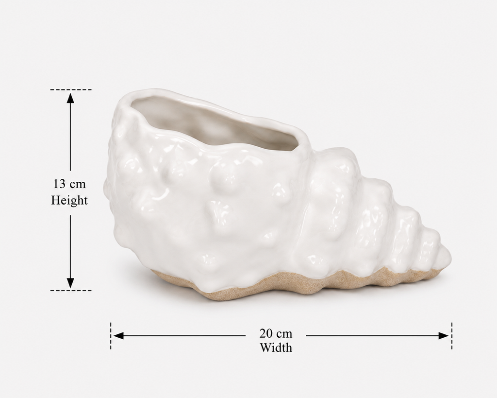 Coastal Charm Shell Bowl
