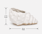 Coastal Charm Shell Bowl