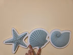 Coastal Shells Wall Décor