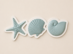 Coastal Shells Wall Art - Mint green