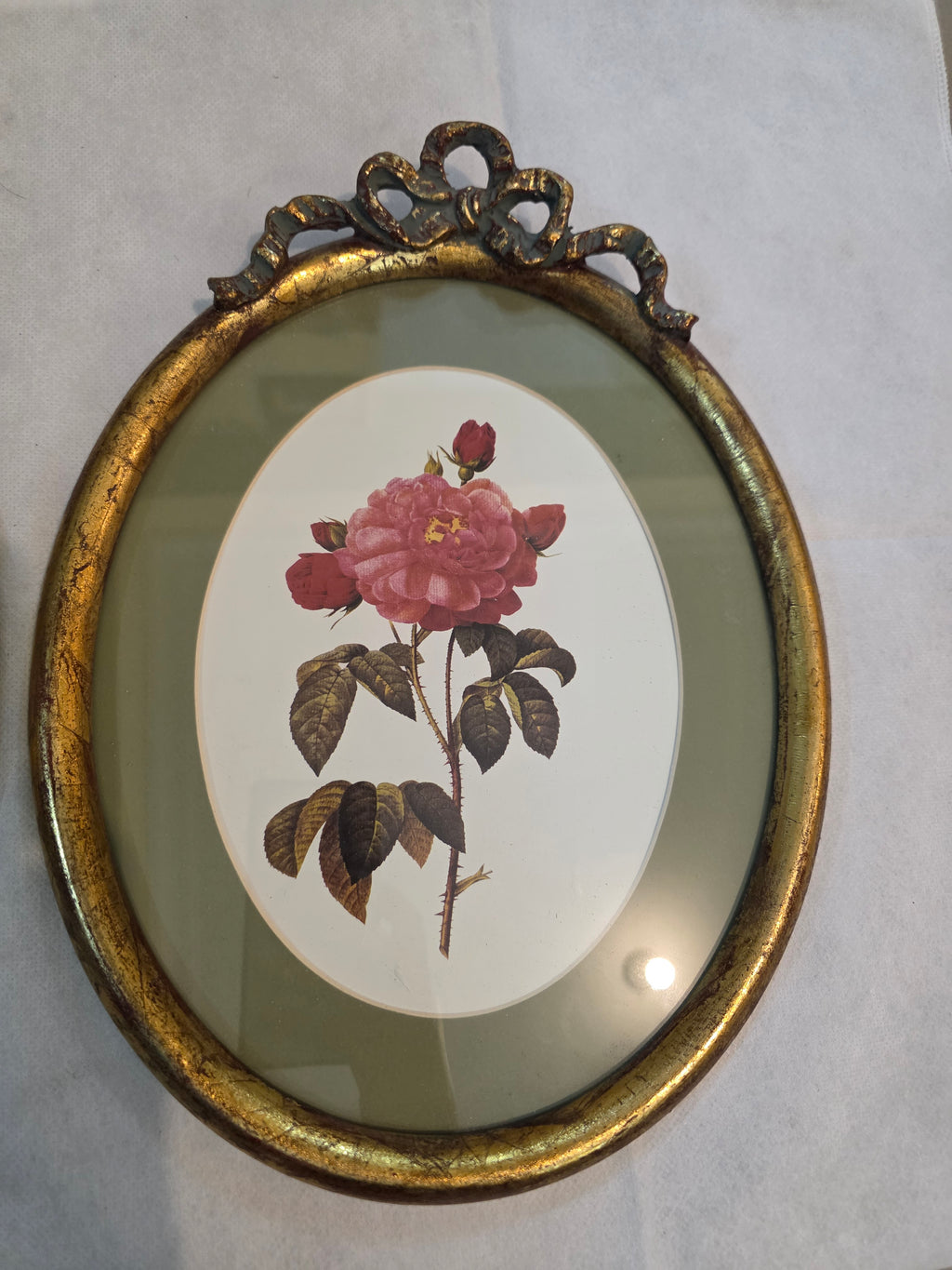 Pair of Vintage Botanical Rose Wall Prints