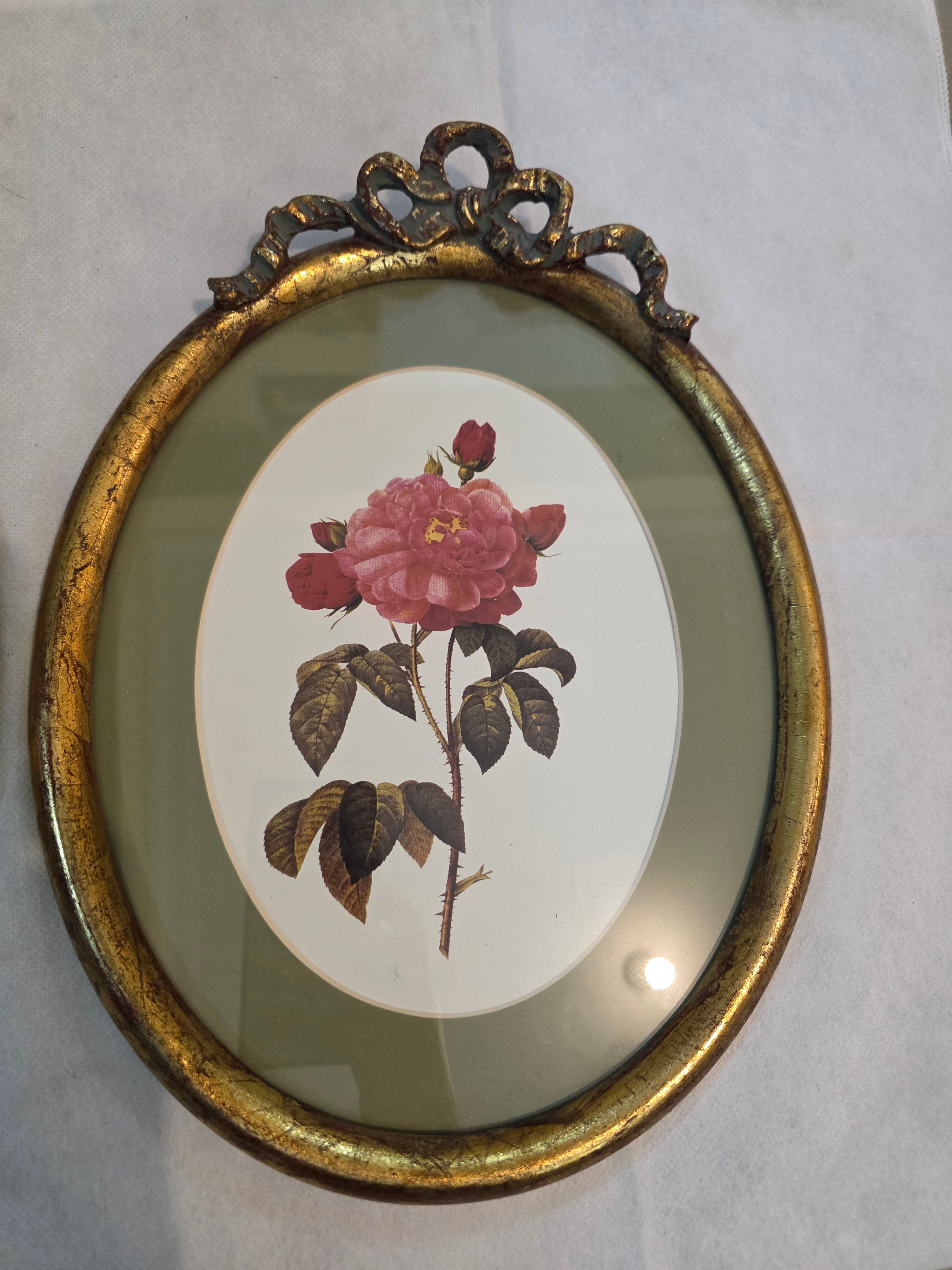 Pair of Vintage Botanical Rose Wall Prints