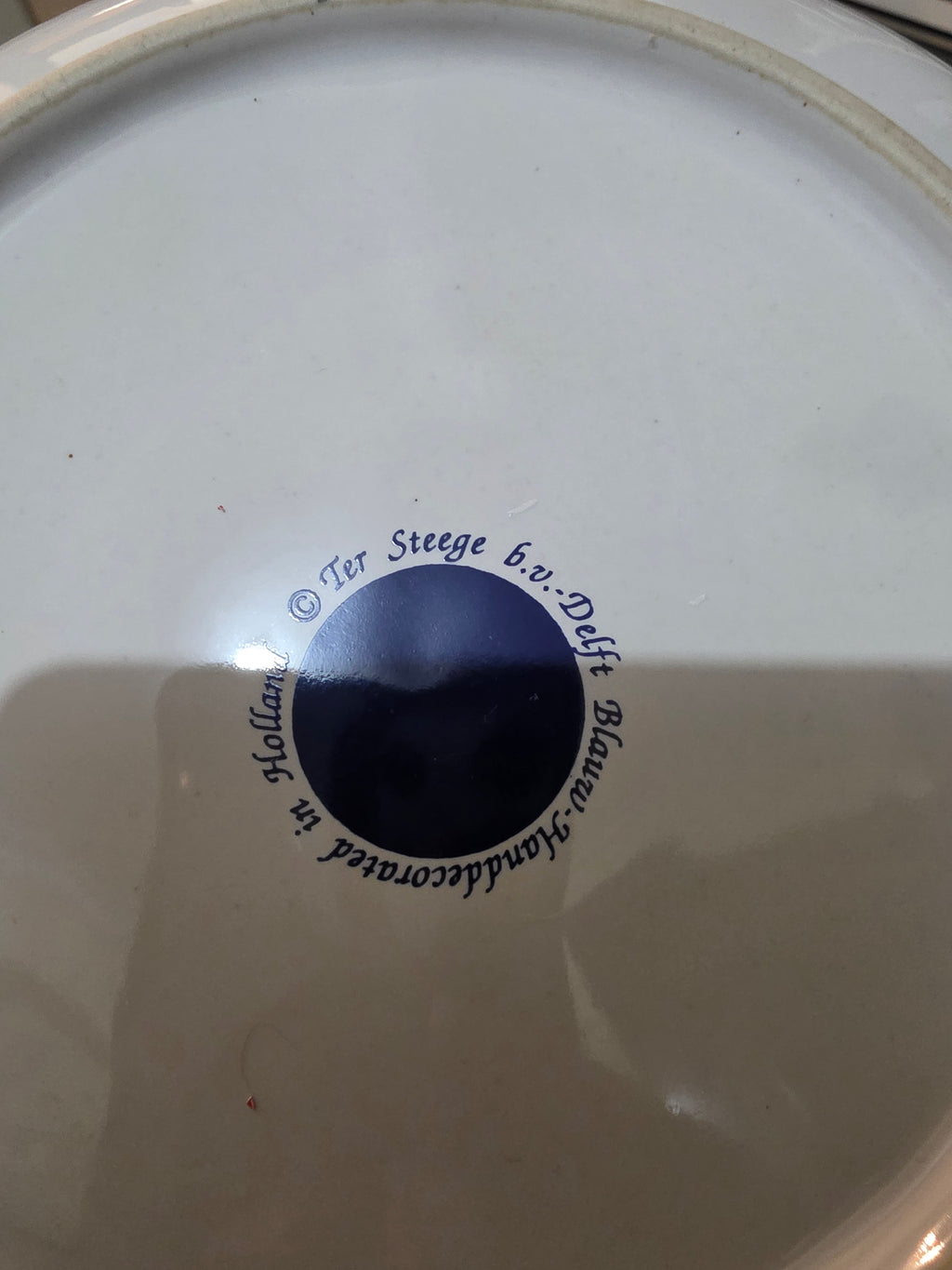Ter Steege Delft Blue Decorative Wall Plate
