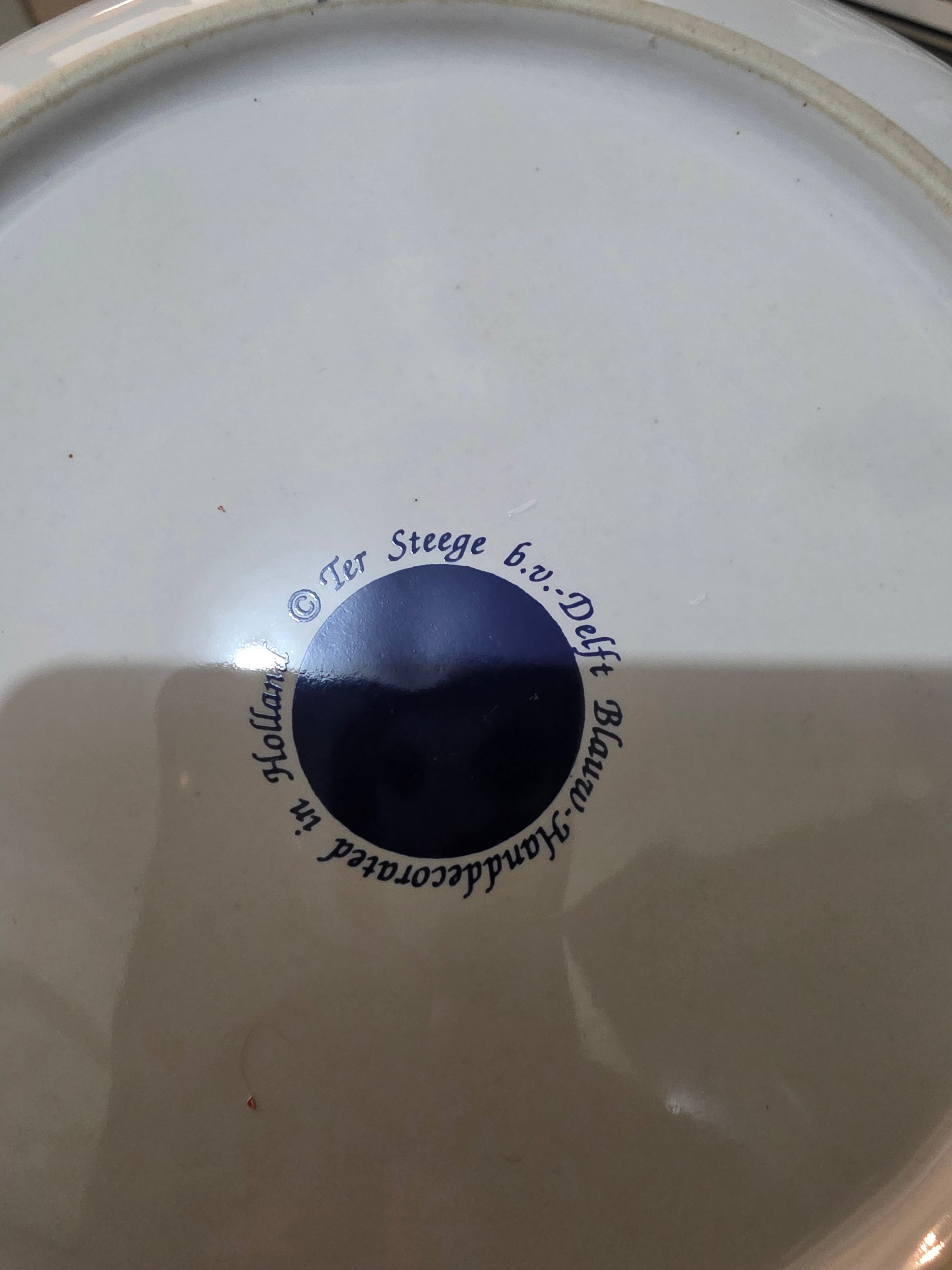 Ter Steege Delft Blue Decorative Wall Plate