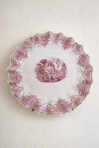 Vintage transferware plate